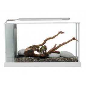 Askol Fluval Spec Ricambio Spugna Originale