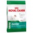 Royal Canin Mini Junior 2Kg