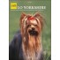 Libro Yorkshire Terrier De Vecchi Editore
