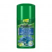 Tetra Pond AlgoRem Antialghe 250ml