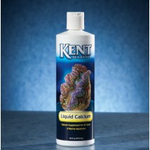 Kent Liquid Calcium 236ml