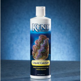 Kent Liquid Calcium 236ml