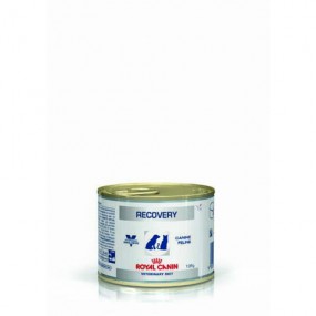 Royal Canin Recovery Dog e Cat Umido 195gr.