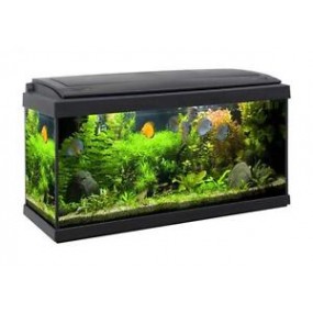 MTB ACQUARIO MONDO 80 IMPIANTO LUCI LED COMPLETO + SUPPORTO