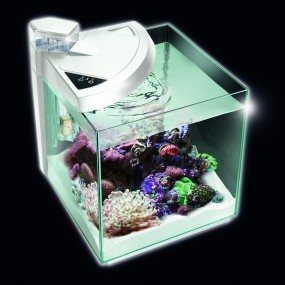 NEWA MORE 50 LITRI REEF ACQUARIO MARINO CON SCHIUMATOIO