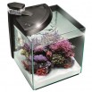 NEWA MORE 50 LITRI REEF ACQUARIO MARINO CON SCHIUMATOIO