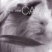 Libro Voglio una Cavia. Edizione illustrata (Italiano) Copertina Rigida