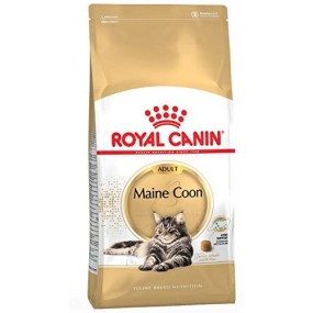 Royal Canin Maine Coon Adult Crocchette Confezione da 10Kg