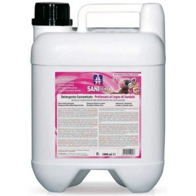 SANIBOX DETERGENTE CONCENTRATO ELIMINA ODORI PROFUMATO LEGNO DI SANDALO TANICA DA 5 LITRI