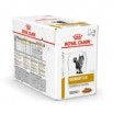 Royal Canin Gatto Urinary S/O Moderate Calorie Box Contenente 12 buste da 85Gr (totale peso 1,020Kg)